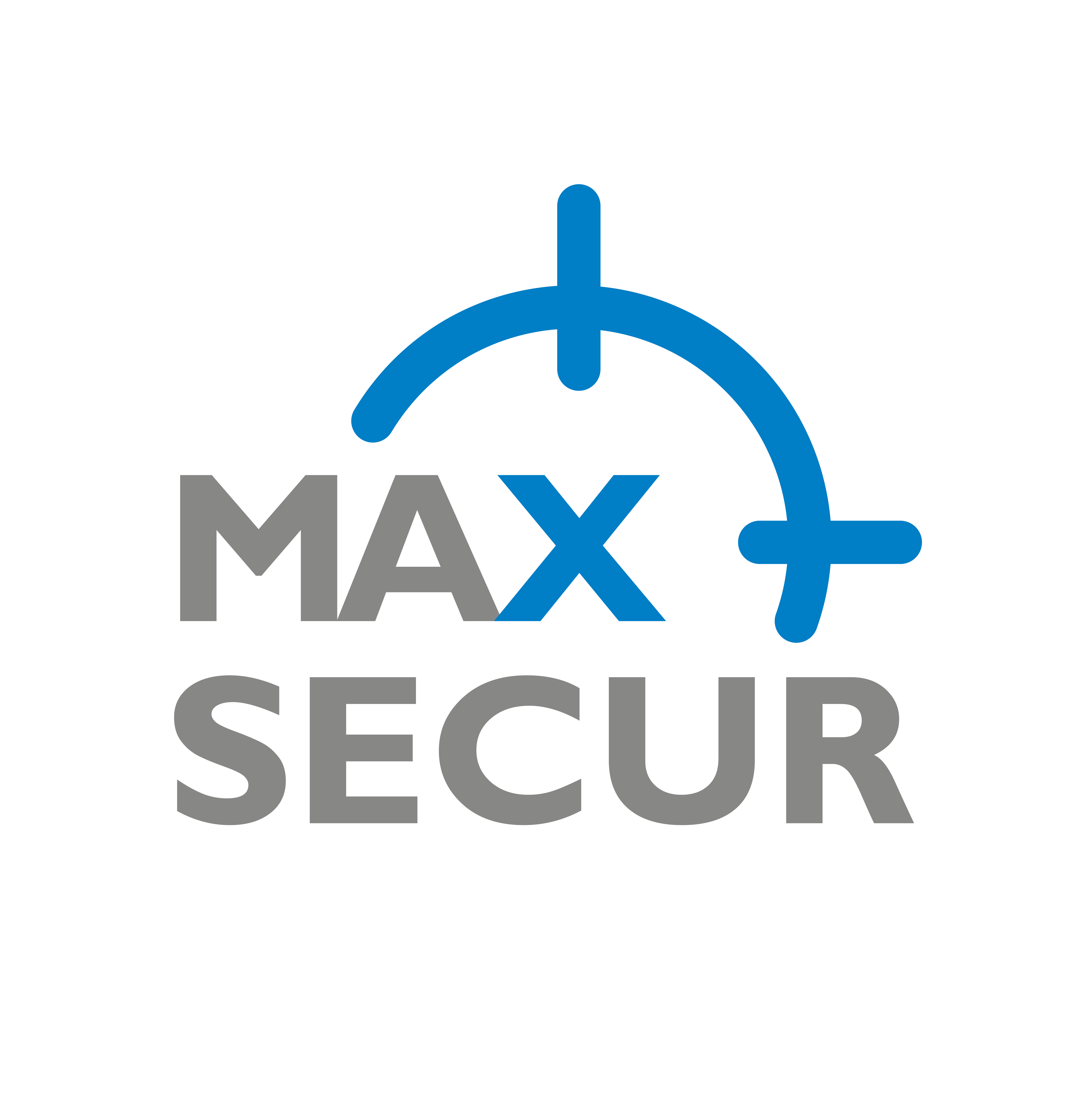 MaxSecur Logo
